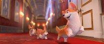 Cinema familiar: "Corgi, les mascotes de la reina"