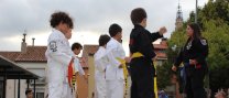 Exhibició de kenpo karate