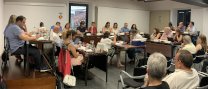 Ple municipal