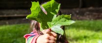 Espai de contes relacionats amb el Medi Ambient