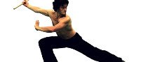 Demostració de kungfu