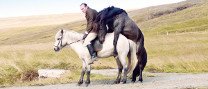 Cinefòrum: "De caballos y hombres"