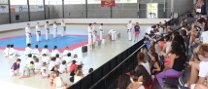 Exhibició de karate kyokushinkai