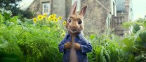 Cinema familiar: "Peter Rabbit"