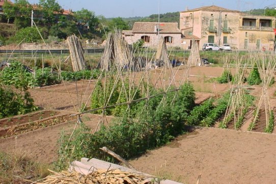 Horta del Brunet