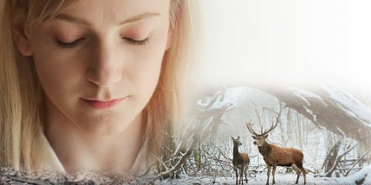 Imatge promocional de la pel·lícula.