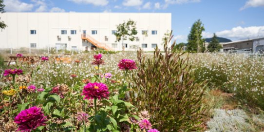 Institut de Jardineria i Agricultura Les Garberes.