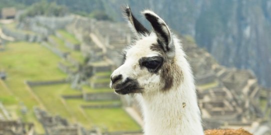 El Perú serà el tema principal de la darrera sessió de l'Hora del Conte d'enguany.