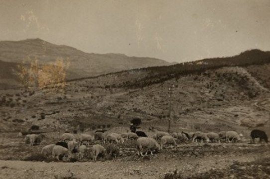 Ramat de bens a l'Era d'en Petasques amb vistes a la Mola (Cedent: Pere Oller Argeleguet - Col·lecció L'Abans)