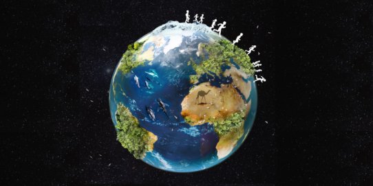 Imatge promocional de l'Hora del Planeta.