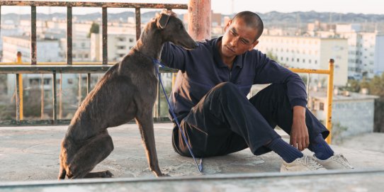 Fotograma de la pel·lícula.