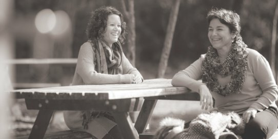 Fragment del cartell promocional de la proposta.