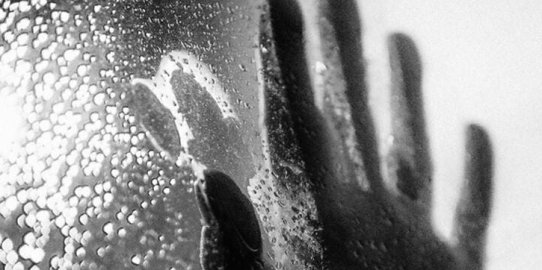 Fragment de la coberta del llibre.