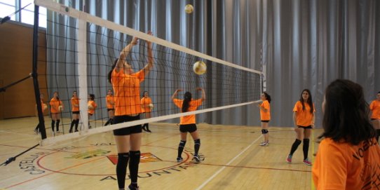Un equip del Voleibol FS Castellar.