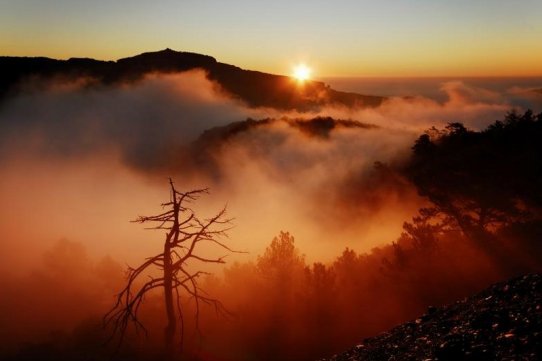 El premi a la millor fotografia va ser per a Manuel Soria, per "Surt el sol a Sant Llorenç"