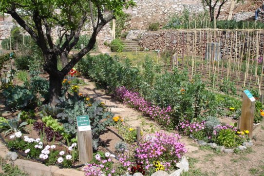 Zona d'horta municipal de cal Botafoc