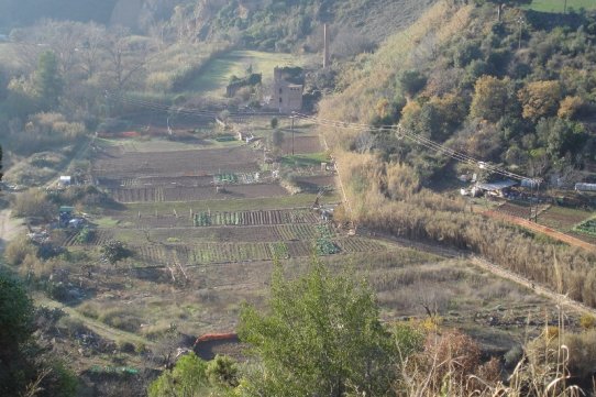 Horta del Boà