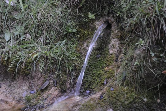 L'Ajuntament desaconsella el consum d'aigua de les fonts naturals del municipi