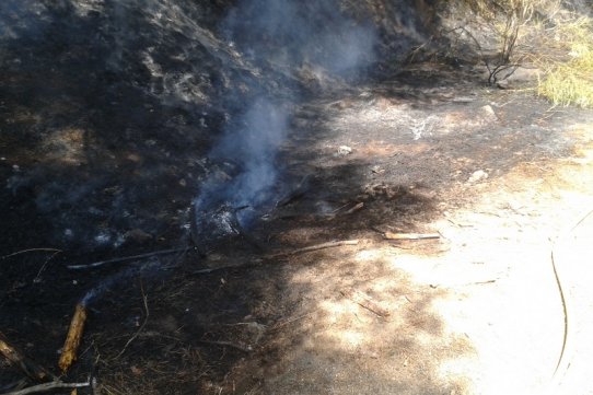 Aquest és el punt d'inici del foc que s'ha declarat a la zona de Can Font