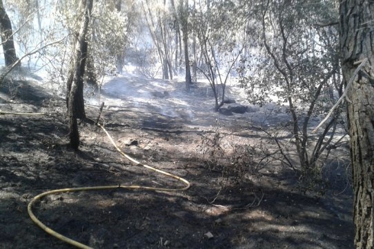 Efectes de l'incendi del passat mes de juliol a Can Font