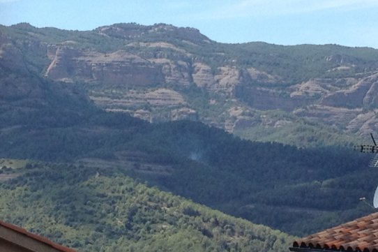 La columna de fum, a les 15.30 h, visible des de la urbanització del Balcó de Sant Llorenç