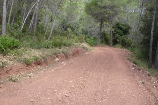 Imatge del camí de la serra de Pinós