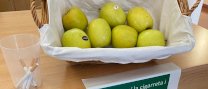 “Conrea aliments, no tabac”, lema de la campanya amb motiu del Dia Mundial Sense Tabac 2023, que se celebra el 31 de maig