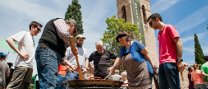 41è Aplec de Castellar Vell