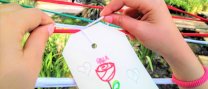 Taller familiar: "La teranyina de colors"