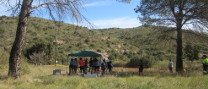 XIV Ruta de les Ermites