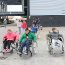 Joves davant la diversitat funcional