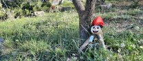 Benvingut tió al parc de Canyelles