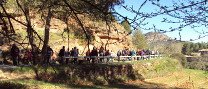 Excursió pel rodal