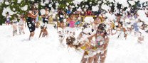 Festa Major de Can Font-Ca n'Avellaneda, Penya Arlequinada i Penya Sports