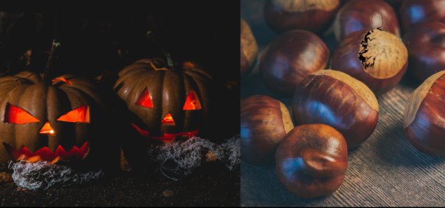 Ets més de Castanyada 
o de Halloween?
Consulta les activitats
a Castellar