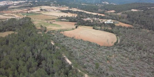 Efectes de la ventada el sector sud del municipi.