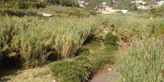 L'itinerari recorrerà diversos espais del riu Ripoll.