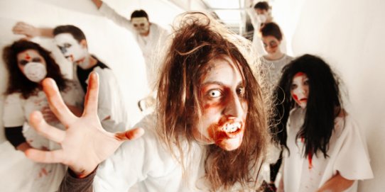 Imatge del túnel del terror l'any 2014.