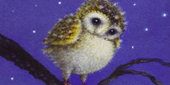 Fragment de la portada del llibre.