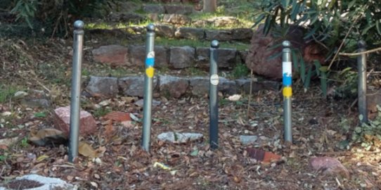 Caminem per les escales al cim