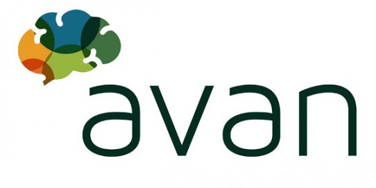 Logotip d'AVAN, entitat encarregada de dur a terme l'activitat.