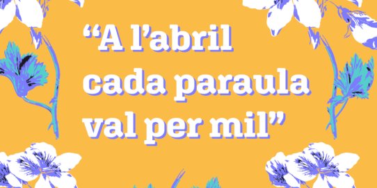 Fragment del cartell promocional de la campanya.