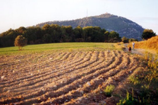 Vista d'un sector de la plana vallesana