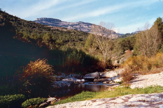 Riu Ripoll i Mola al fons