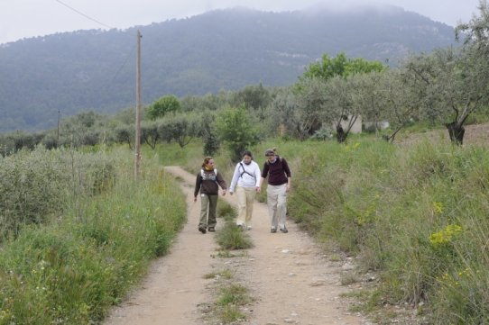 La 24a edició de la Caminada Popular de Castellar del Vallès se celebrarà aquest diumenge, dia 8 de maig