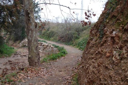 Torrent de colobrers