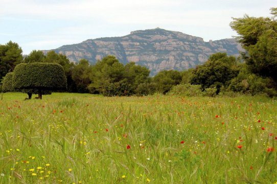 Agrupació de Defensa Forestal de Castellar del Vallès