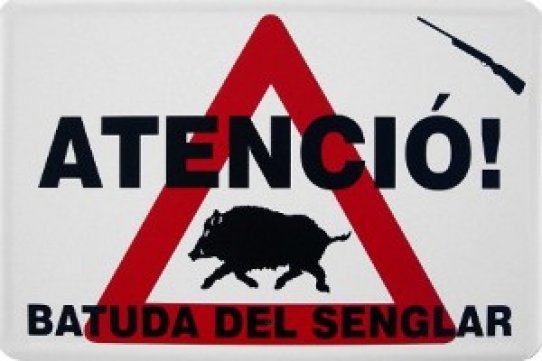 Cartell tipus batuda del senglar