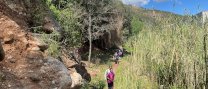 Un total de 217 persones van participar en la 33a edició de la Caminada Popular