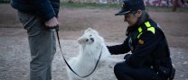 La Policia Local farà una campanya de control i prevenció d’infraccions relacionades amb la tinença d’animals